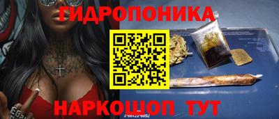крисы Гусь-Хрустальный